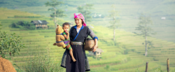 Sapa_Mother_Carrying_Son_in_the_Field